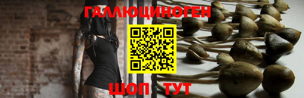 Галлюциногенные грибы мухоморы  Вход с VPN  Псилоцибиновые грибы Psilocybine cubensis  Еманжелинск 